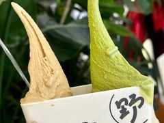 -野人先生Gelato(上海长宁龙之梦店)