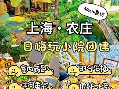 -上海山野camping·户外天幕烧烤·团建拓展营地