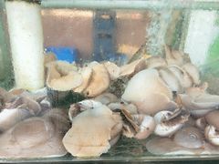 -四海鲜渔家菜(黄金海岸店)
