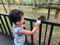 -吉隆坡雀鸟公园