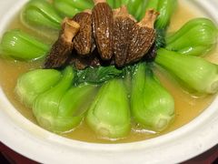 -潇湘甲鱼村(清河店)