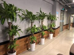 -网鱼网咖(上海静安寺店)