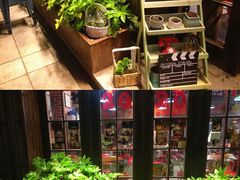 -蚝堡海鲜·威海菜·海肠捞饭·烧烤·亚洲吃蚝公司(幸福门店)