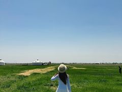 -敕勒川草原