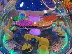 -汤姆熊欢乐世界(光启城店)