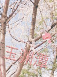 -Oasis Beauty水磨坊科技美肤中心