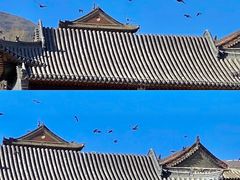 -五台山风景区