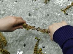 -渔傅·蓝海岸霞浦海鲜(正祥店)