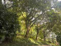 -深圳国际园林花卉博览园