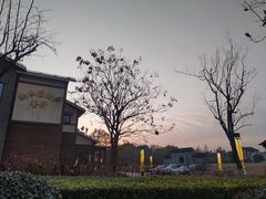 -新木器时代餐厅(太湖新天地店)