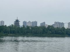 -洋湖国家湿地公园