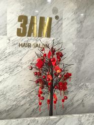 -3AM HAIR SALON染发接发