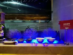 -长沙三景韦尔斯利酒店·Oval全日制餐厅自助餐