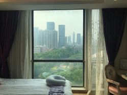 -海豚湾高端月子会所(黄浦店)