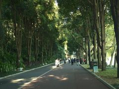 -南宁南湖公园