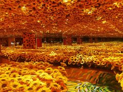 -成都梵高星空艺术馆(春熙路旗舰店)