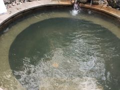 -楼观道温泉酒店