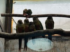 -济南野生动物世界