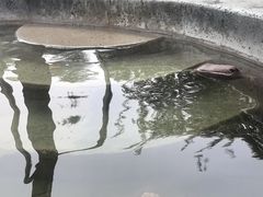 -扬州瘦西湖温泉