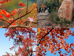 -广州市石门国家森林公园