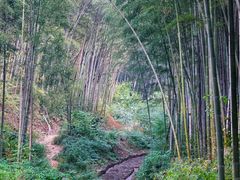 -五泄景区