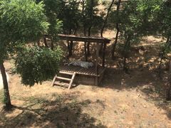 -石家庄市动物园