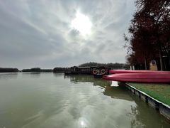 -上海海湾国家森林公园