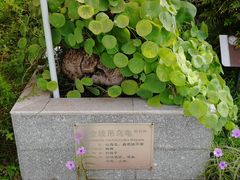 -广州神农草堂中医药博物馆