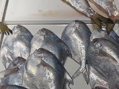 -龙宴海鲜城(经中路店)