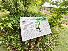 -昆明植物园