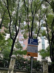 -上海交通大学医学院附属上海儿童医学中心(陆家嘴总院区)