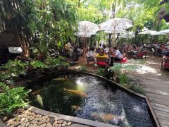 景观位-Fern Forest Cafe