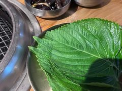 -汉拿山(北京上地华联店)