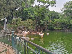 -昆明动物园