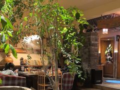 -慢丽江·云南野生菌土鸡锅(付家庄店)