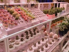 -KKV(东莞海德汇一城店)