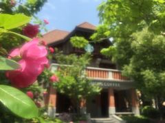 -星巴克臻选(思南公馆店)
