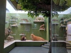 -国家自然博物馆