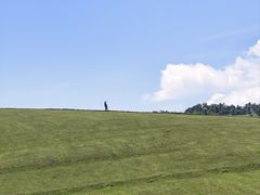 -关山草原