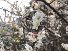 -广州市流溪河国家森林公园