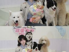 -汪说·狗咖·拼豆·宠物周边DIY(旺城大厦店)