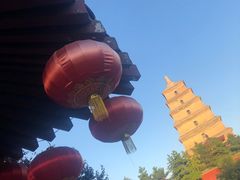 -大雁塔北广场音乐喷泉