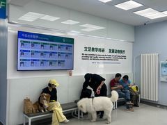 -中国农业大学动物医院
