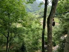 -藏龙百瀑风景区