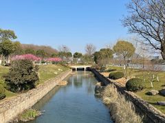 -羊山湖公园