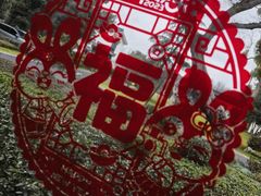 -杭州西湖柳莺里酒店