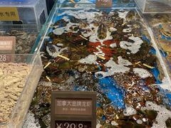 -徐记海鲜(汉城湖|太奥店)