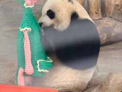 -海南热带野生动植物园