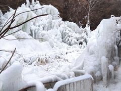 -黑龙潭风景区