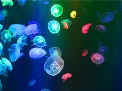 -常州海昌海洋探索馆